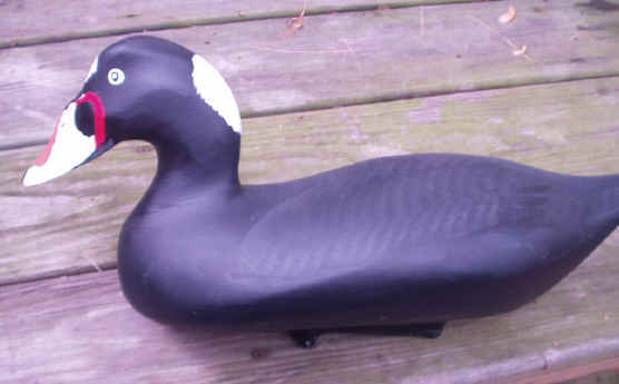 #1 Surf Scoter Decoy made by Capt. Harry Jobes